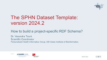 How to fill the Dataset Template 2024.2