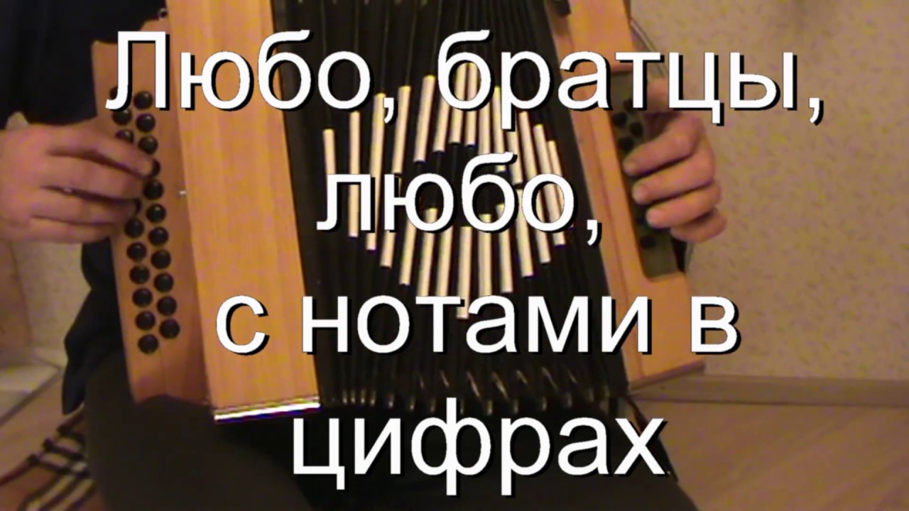 Любо братцы любо на гармони. Любо братцы любо разбор гармонь. Любо братцы любо Ноты для гармони. Любо братцы Ноты для гармони.