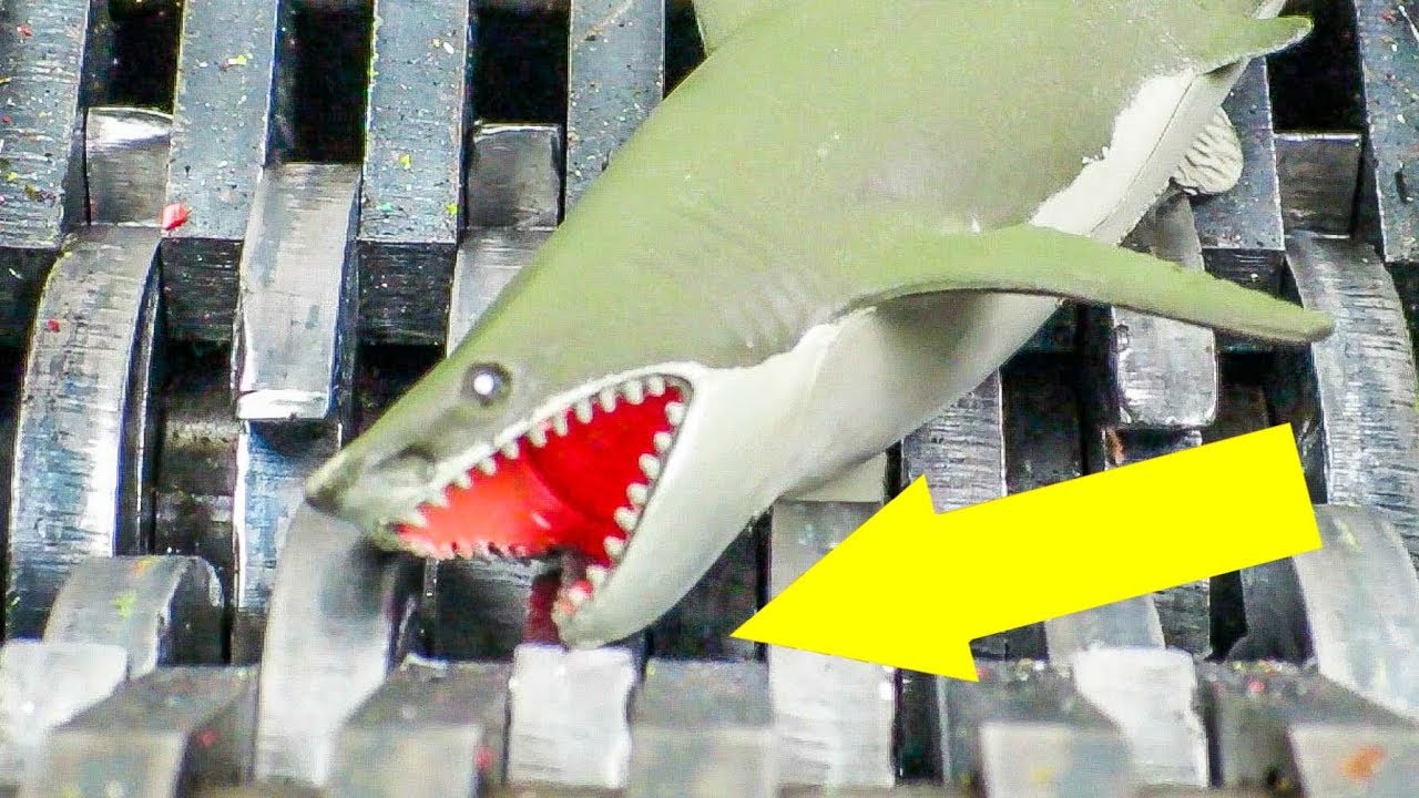 animal planet shark toys Great White Shark Shredded! Ocean Animal Collection Destroyed! What's Inside?