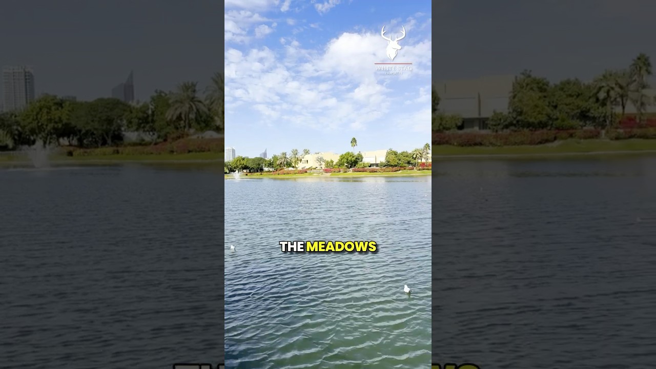 Community Spotlight: The Meadows, Dubai 🌿🏡