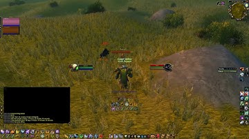 World Of Warcraft   Classic 2019 11 27   full of BOTS