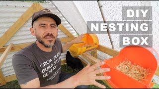 Celebrity How to make a NESTING Box from 5 Gallon BUCKET Profile