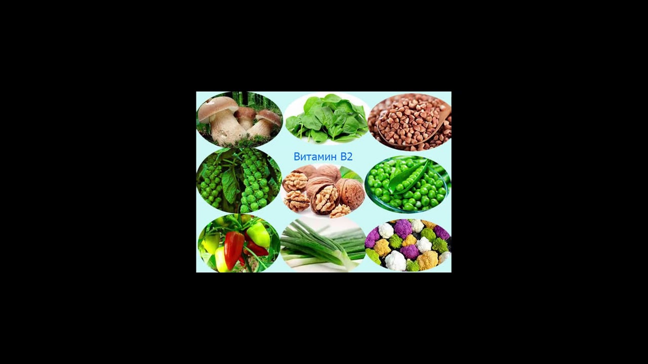 Витамин В2. Для чего нужен ?