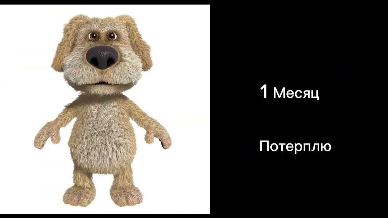 сколько осталось playstation 5