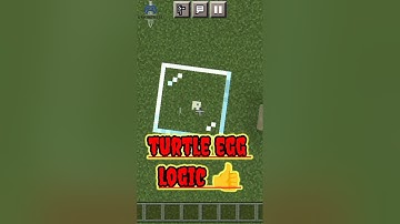 Minecraft turtle egg logic | #shorts #viral #trendingshorts