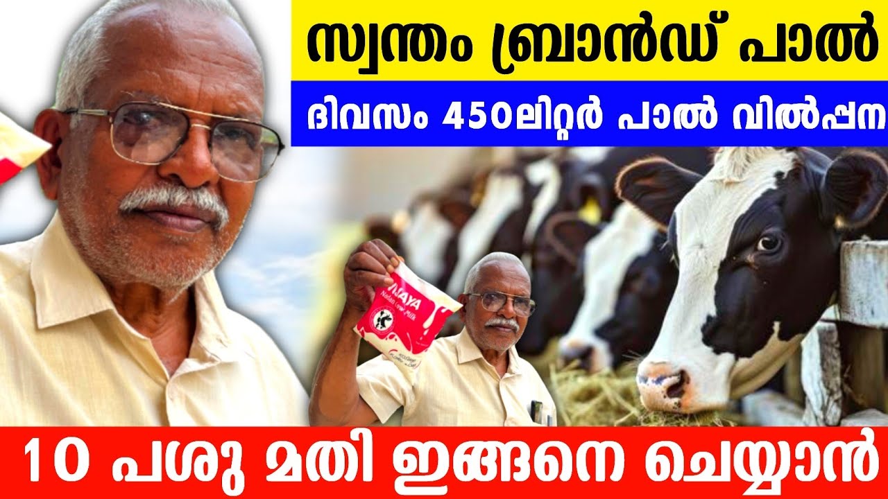 48 പശു, 450 ലിറ്റർ പാൽ വിൽപ്പന, സ്വന്തം ബ്രാൻഡ്, വിജയൻ ചേട്ടന് പശു ലാഭമാണ് | dairy farming tips 