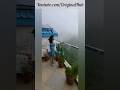 Absolutely Amazing View from my Terrace 🤩🤩 #amazingview #terrace #hillstation