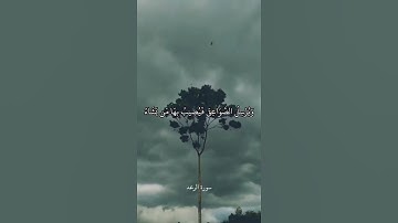 هُوَ الَّذِي يُرِيكُمُ الْبَرْقَ خَوْفًا وَطَمَعًا    سورة الرعد    علي جابر