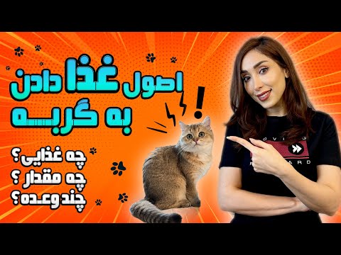 تصویری: آیا غذای مرطوب گربه باید گرم شود؟