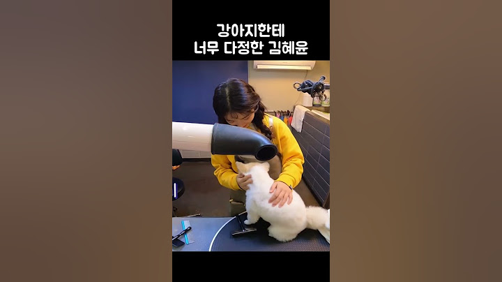 강아지한테 너무 다정한 김혜윤 #shorts #김혜윤 #kimhyeyoon