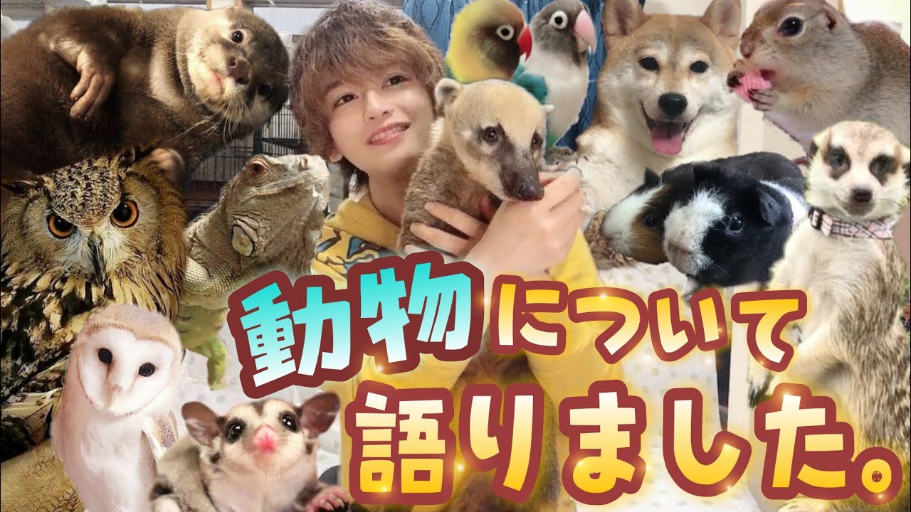 （初）動物について語りました。Talked about animals