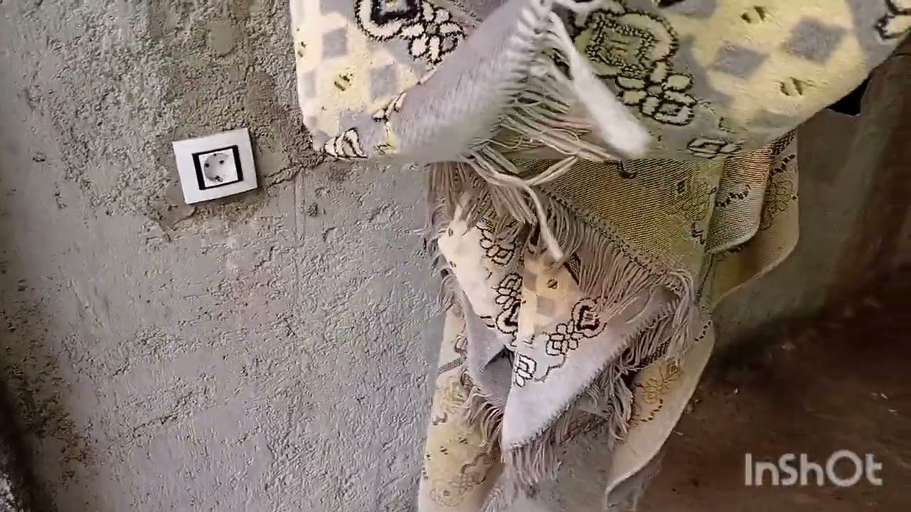 روتين جديد وعام جديد قلولي بصحتك🤩