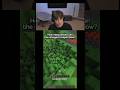 How Many Blocks Can a Charged Creeper Blow Up? 🤯 Minecraft Experiment #shorts