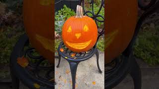 Pumpkin carving by Chickens