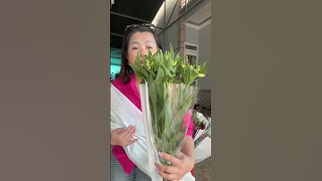 Hoa Thuỷ tiên nhà Quỳnh nè! Mời các sỉ nha