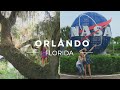 Bird Attack, Avatar Trees and NASA Rocket Launch!