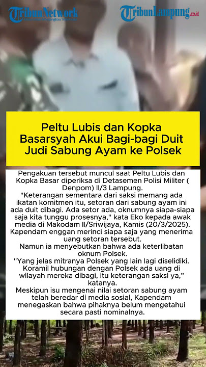 Peltu Lubis dan Kopka Basarsyah Akui Bagi-bagi Duit Judi Sabung Ayam ke Polsek