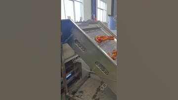 Carrot Washing Grading Machine|Carrot Washing And Air Drying Grading Line