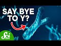 Why Y Chromosomes Won’t Be Around Forever