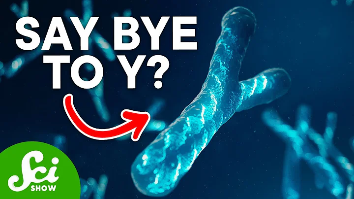 Why Y Chromosomes Won’t Be Around Forever