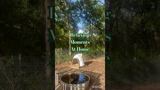 Relaxing moments at home🫶🏻 #animallovers #calming #plantbasedliving #peaceful