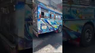 තර කමර..Tharu Kumari Bus In Official Beliatta Sri Lanka