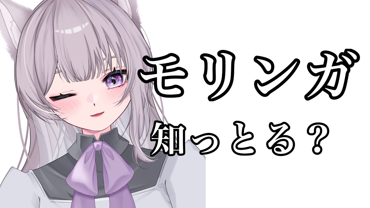 話題の『モリンガ』ってしってる?