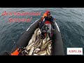 УДАЧНОЕ ОТКРЫТИЕ СЕЗОНА МОРСКОЙ РЫБАЛКИ / SUCCESSFUL OPENING OF THE SEA FISHING SEASON