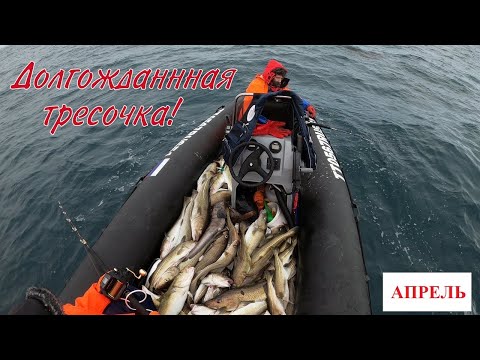 УДАЧНОЕ ОТКРЫТИЕ СЕЗОНА МОРСКОЙ РЫБАЛКИ 2020 / SUCCESSFUL OPENING OF THE SEA FISHING SEASON 2020