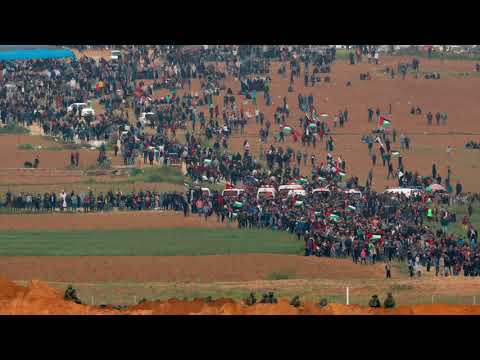 يلا امشوا معانا ع فلسطين