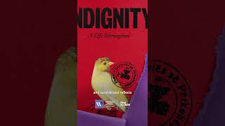 Indignity: A Life Reimagined by Lea Ypi
In Indignity’, author and academic Lea Ypi investigates the truth about her family as she transports the reader to the vanished world of Ottoman aristocracy, the making of modern Greece and Albania, a global financial crisis, the horrors of war and the dawn of communism in the Balkans – asking what we really know about those closest to us.
2026 Women’s Prize for Non-Fiction judge Nina Stibbe says: “Indignity is a genre-defying examination of family history and political inquiry. Brought to life by Ypi’s immersive style, it raises questions about the fragility of truth, and reflects on personal identity and collective memory.“
Read our interview with Lea to find out more: https://womensprize.com/in-conversation-with-lea-ypi/ Indignity: A Life Reimagined by Lea Ypi