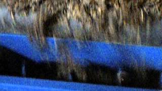 Rozdrabniacz 2 Wałowy 004