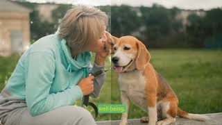 Unlocking Canine Communication  5 Key Signals Every Dog Owner Should Know 1