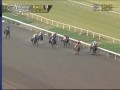 Rosario Equals Hollywood Park Record With Six-Win Day