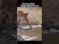 Ranking Best Close Call Moments!!😮