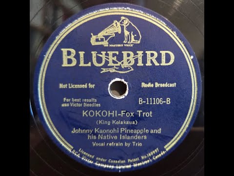 HAWAIIAN SONG: Johnny Kaonohi Pineapple / Kokohi / Bluebird B