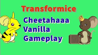 Transformice - Cheetahaaa Vanilla Firsts Gameplay #3