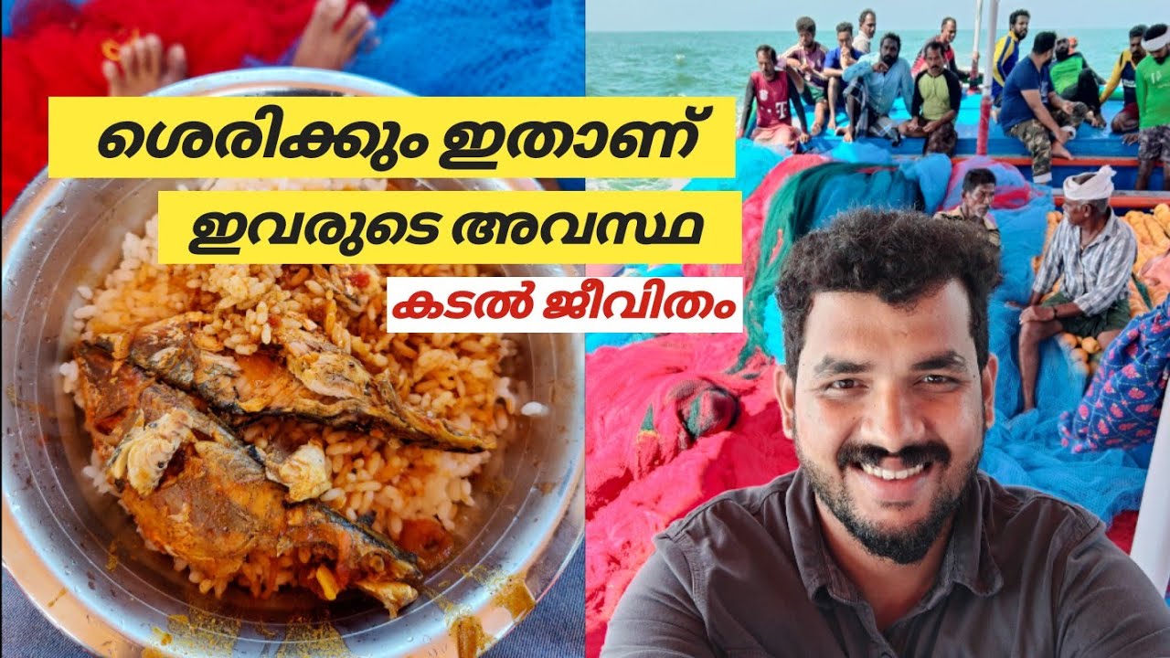 real-fisherman-life-in-kerala-pineapple-couple-youtube