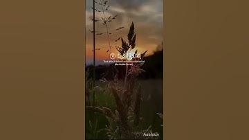 من سورة الواقعة ✨ القاري اسلام صبحي