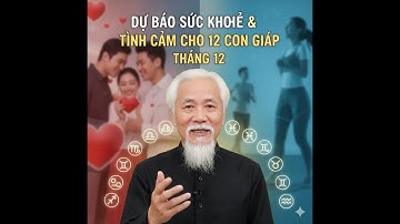 TỔNG QUAN SỨC KHOẺ & TÌNH CẢM 12 CON GIÁP THÁNG 11 NĂM 2025