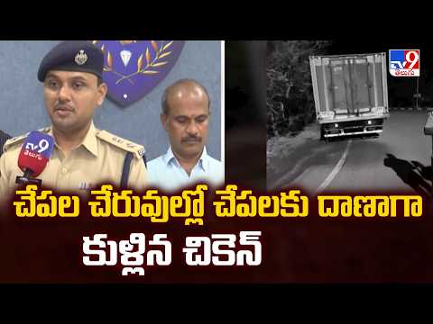 Hyderabad News : చేపల చేరువుల్లో చేపలకు దాణాగా కుళ్లిన చికెన్ - TV9 - TV9