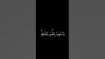 سورة البقره - لاوة جميلة تخشع لها القلوب بصوت #محمد_الحيدان #ايات_قرانيه_قصيره_ارح_سمعك♡