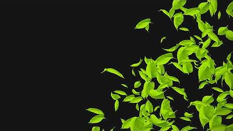 Particles Transitions | No Copyright | No Plugins Required | Easy To Use