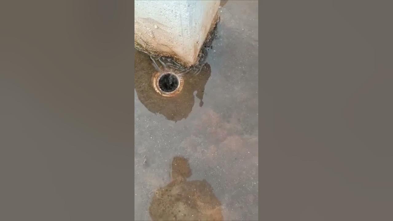 rain water going down drain YouTube