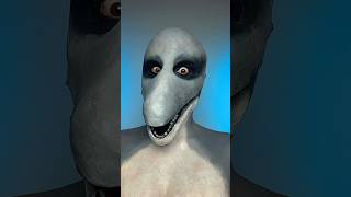 DOLPHIN MAN 🐬