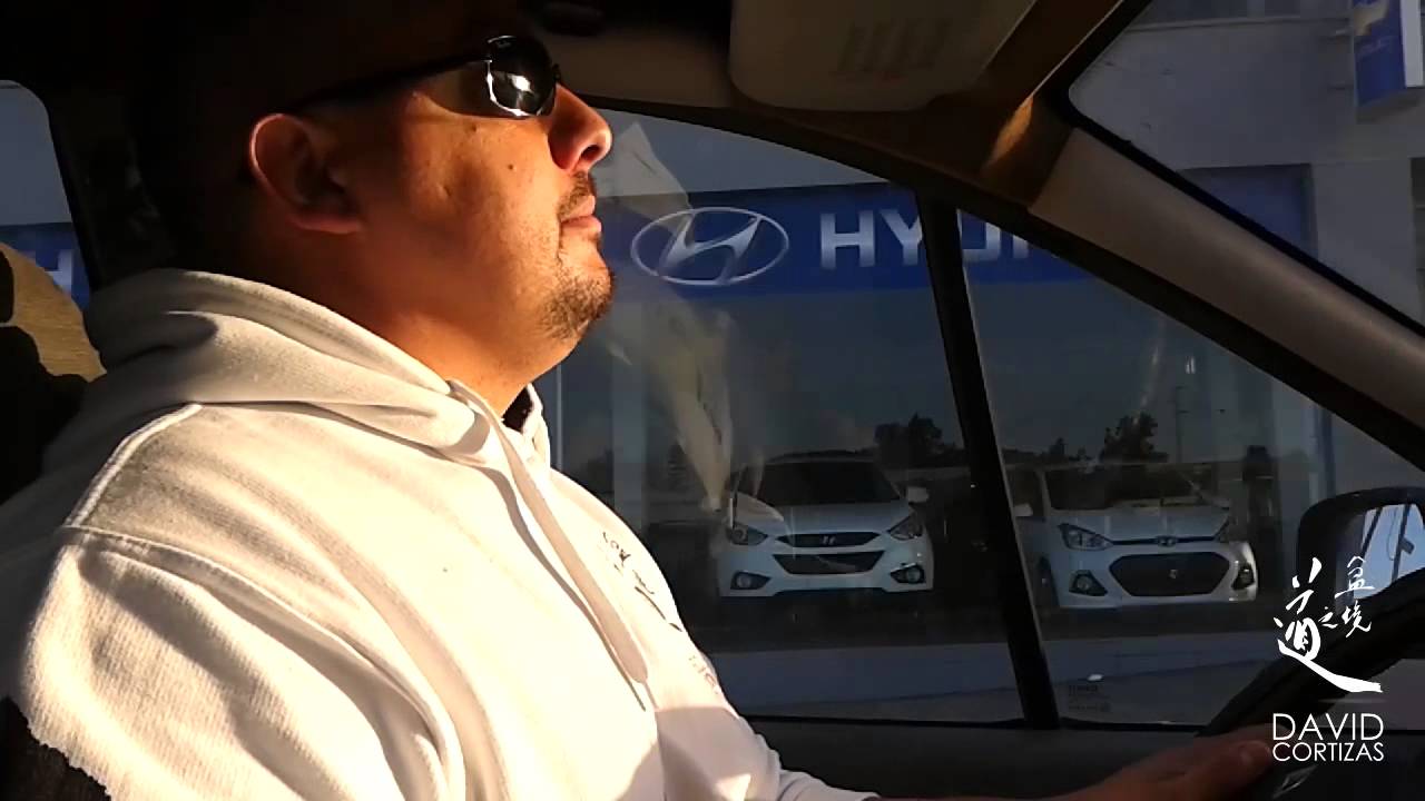 Novedades conduciendo bonsai bosque de la armonia