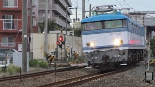 【JR貨物】５０５６レ ピッカピカなＥＦ８１-４５１