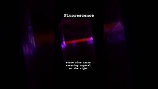 Turn blue light to red light with lasers  #fluorescence #lasers #laser #bluelaser #calcite