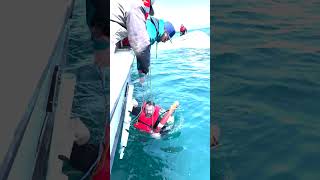 Whale watchers rescue fishermen after boat capsizes off California coast