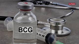 Prévention du coronavirus : la piste du BCG